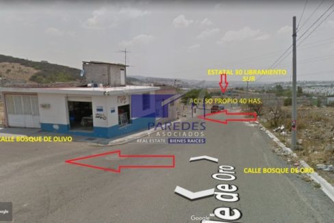 IMG-20210706-WA0002