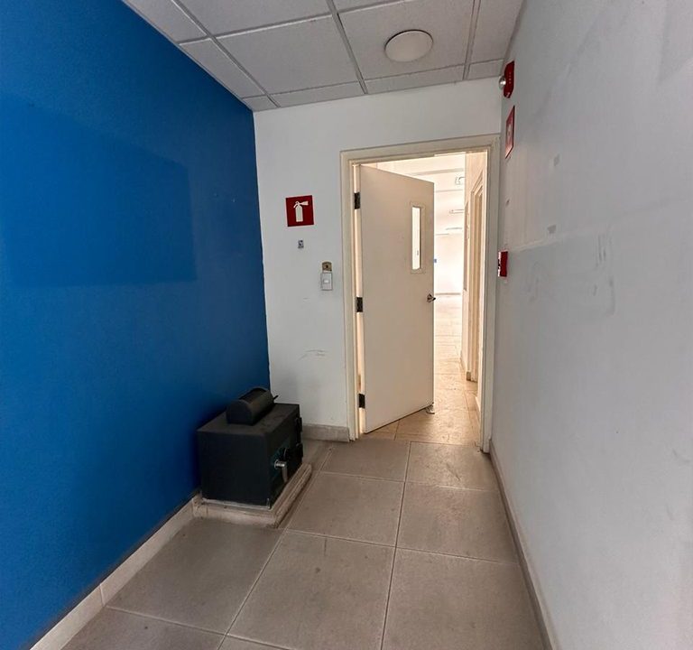 Copia de 6