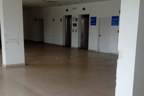 Copia de 7